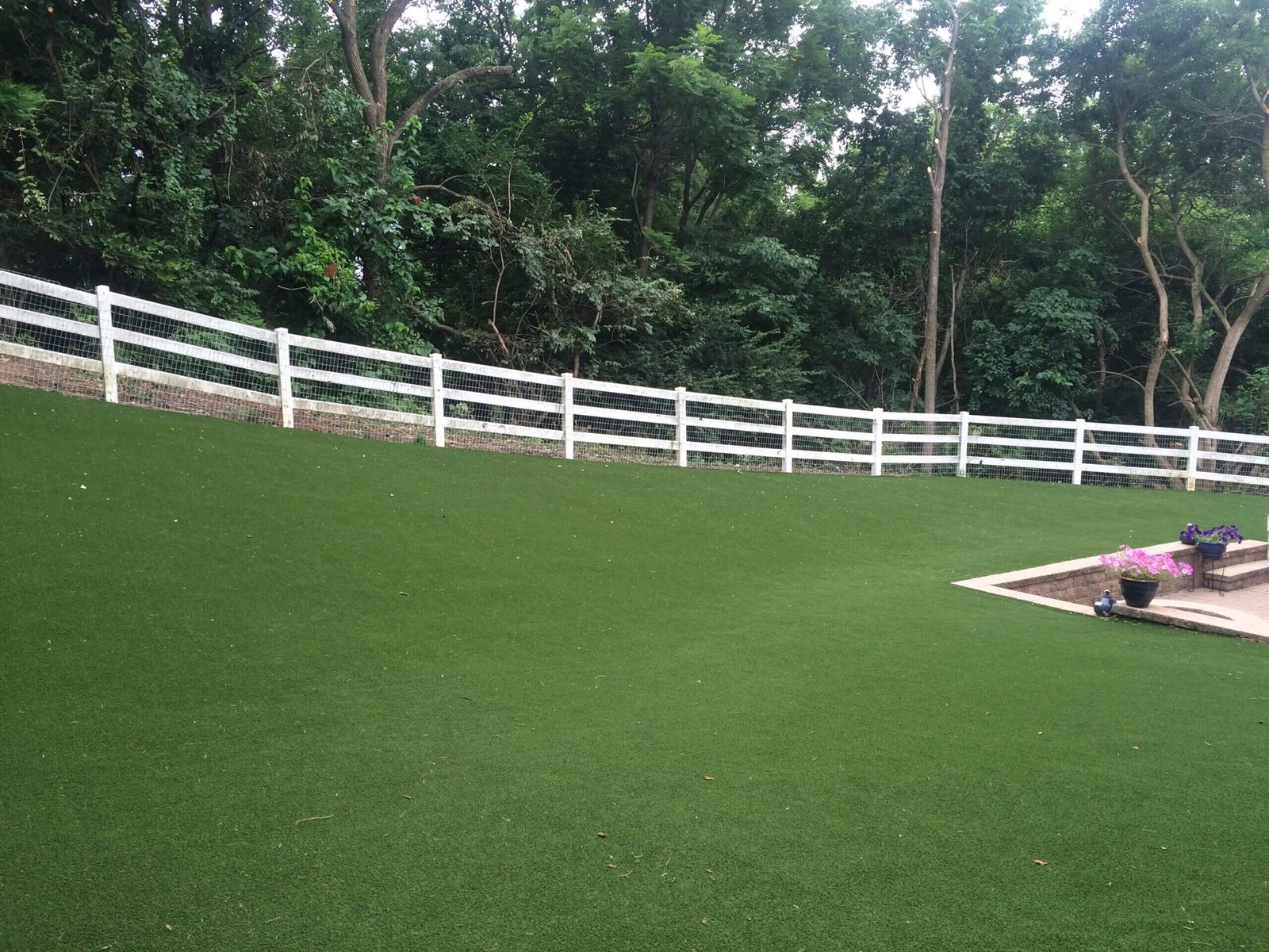 Frederick Pet Turf 2