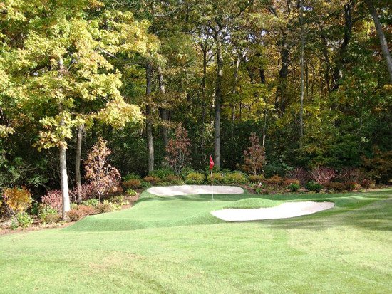 backyard-putting-green_1